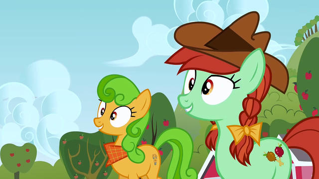 File:Ponies looking at the barn S3E8.png