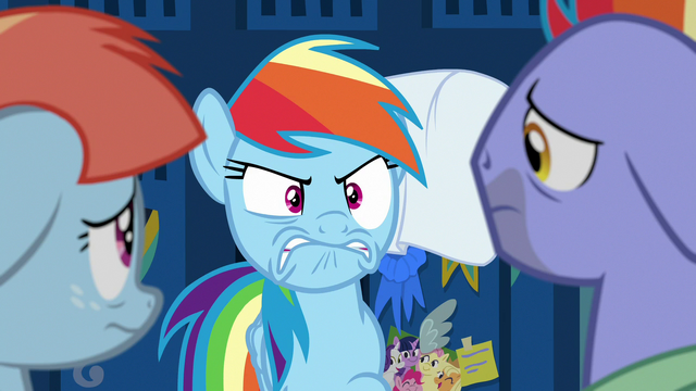 File:Rainbow Dash venting her frustration S7E7.png