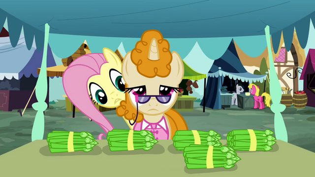 File:Fluttershy "Excuse me" S2E19.png