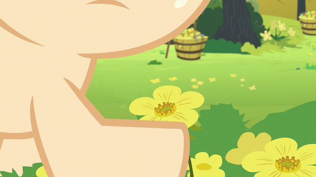 File:Young Pear Butter holding a buttercup S7E13.png