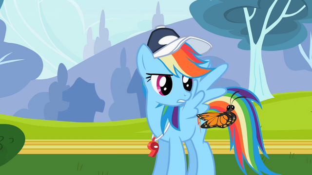 File:Rainbow Dash looking at butterfly S2E07.png