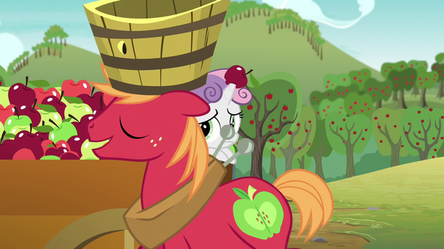 File:Big Mac "Eeyup" S6E4.png
