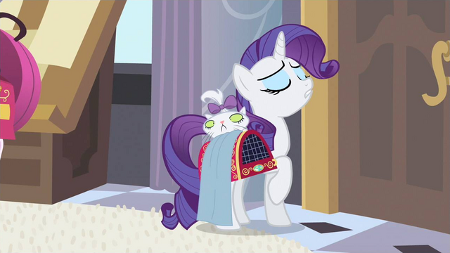 File:Rarity enough time S2E9.png