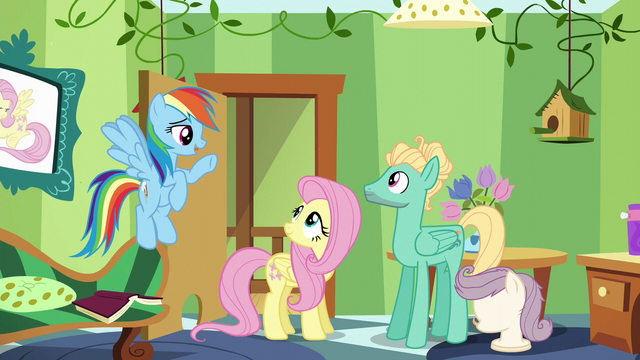 File:Rainbow "now that you've accomplished this" S6E11.png