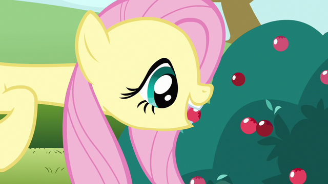 File:Fluttershy biting hold S3E3.png