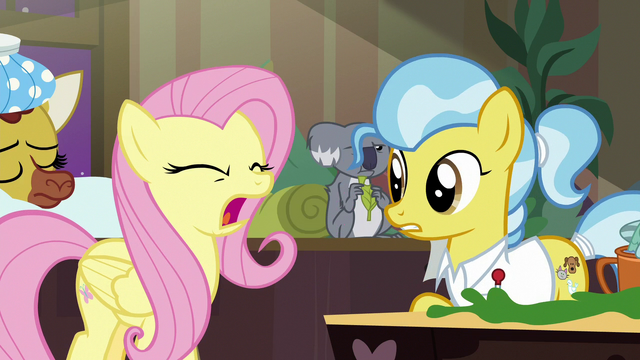 File:Fluttershy shouting "no!" S7E5.png