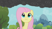 Fluttershy17 S01E07.png