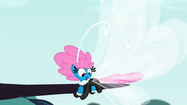File:Seabreeze hanging onto tree branch S4E16.png