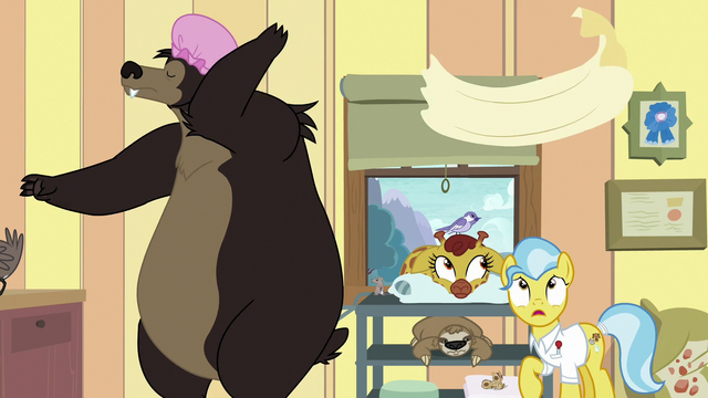 File:Grizzly bear tosses towel on Dr. Fauna S7E5.png