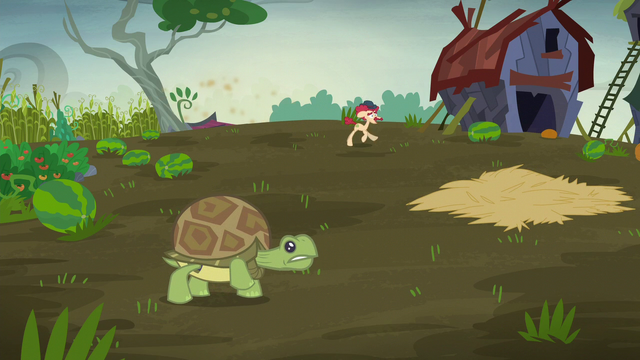 File:Turtle trying to run away S5E23.png