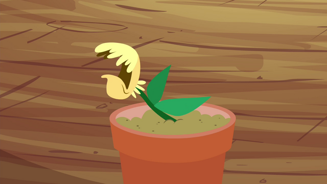 File:Seedling coughing S4E15.png
