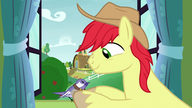 File:Bright Mac receiving a letter by bird S7E13.png