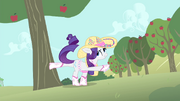 S04E13 Rarity strąca jabłka.png