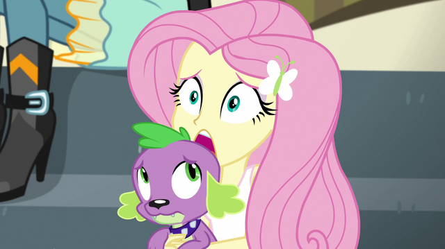 File:Fluttershy "are you okay?" EGS1.png