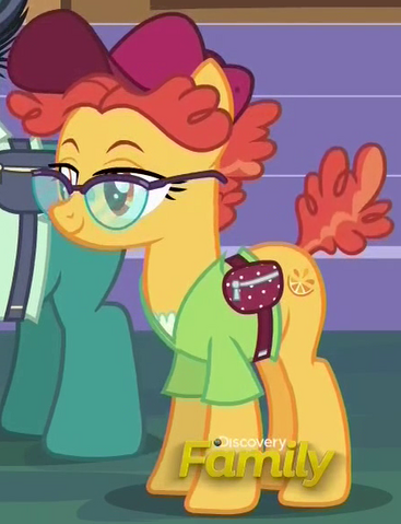 File:Orange Slice ID S6E12.png