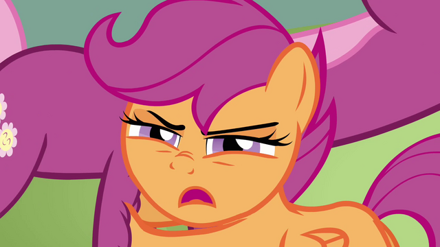 File:Scootaloo looking disgusted S2E17.png