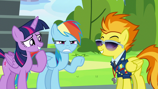 File:Rainbow Dash annoyed "I heard that!" S6E24.png