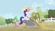 Rarity em um arado T4E13.png