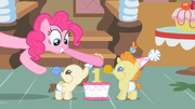 S2E13.png