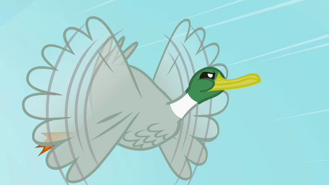 File:Duck flying S2E07.png