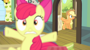 S04E17 Applejack interweniuje.png