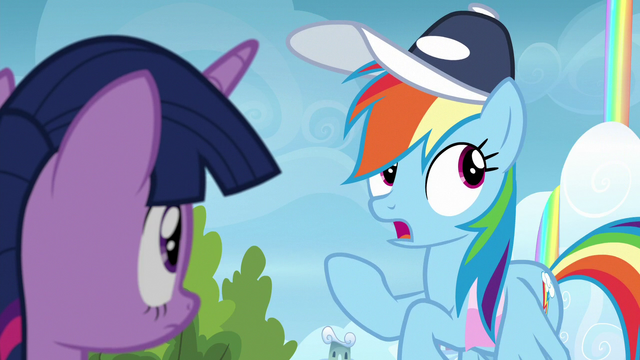 File:Rainbow "thirty percent skill and seventy percent confidence" S6E24.png