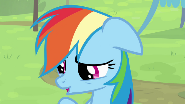 File:Rainbow 'I don't know' S4E10.png