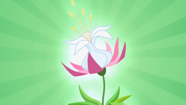 File:Seeds of Truth plant S2E06.png