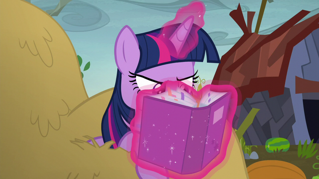File:Twilight with her nose in her portfolio S5E23.png