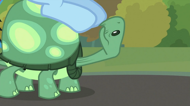 File:Tank looking at Rainbow Dash 2 S2E07.png