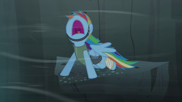 File:Rainbow yelling S5E8.png