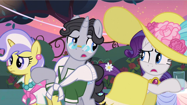 File:Rarity huh what S2E9.png
