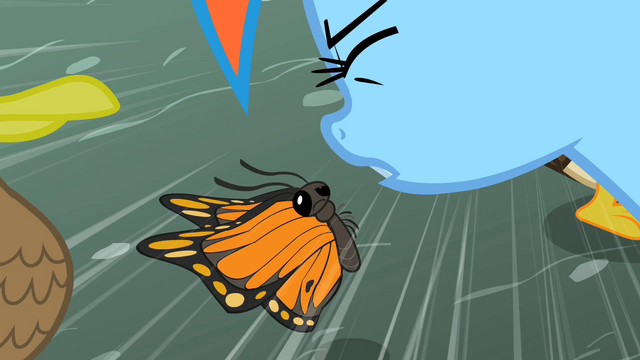 File:Rainbow Dash talking to the butterfly S2E07.png