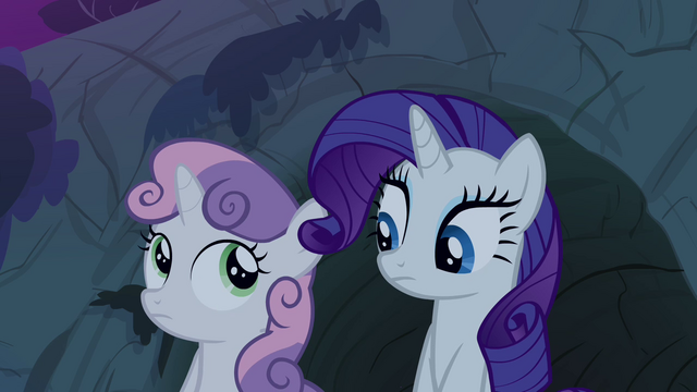 File:Rarity and Sweetie Belle looking at each other S3E06.png