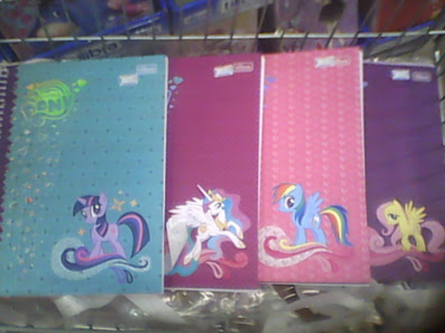 File:Merchandise notebooks.png