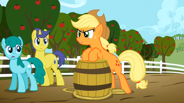 File:Applejack can't sale S2E15.png