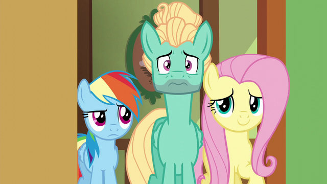 File:Fluttershy, Dash, and Zephyr enter a cottage room S6E11.png