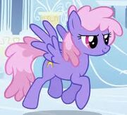 Rainbow shine3.jpg
