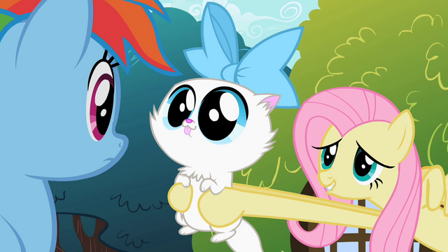 File:Fluttershy showing cat to Rainbow Dash S2E07.png