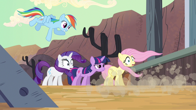 File:Rarity & Fluttershy mane flow S2E14.png