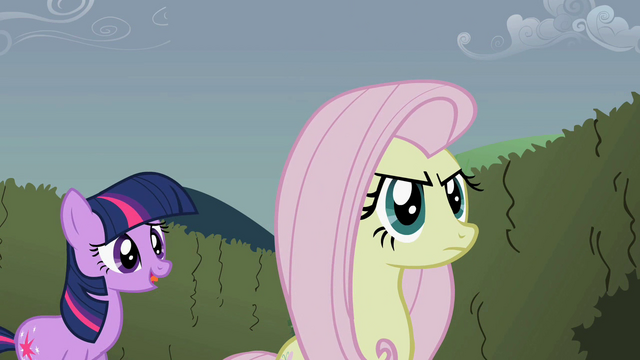 File:Twilight finds Fluttershy S2E01.png