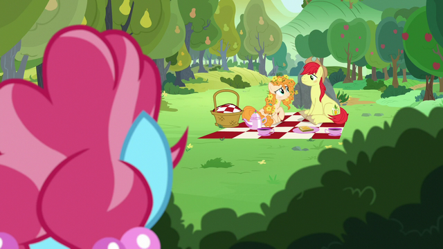 File:Bright Mac and Pear Butter blush at each other S7E13.png