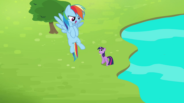 File:Rainbow "I can fly fast enough" S4E10.png