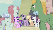 Villagers circle around Starlight S5E2.png