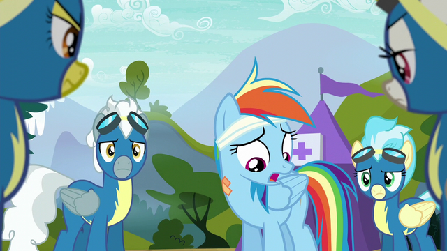 File:Rainbow Dash "always been a standout flyer" S6E7.png