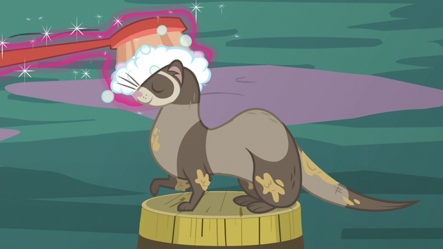 File:Ferret cleaning S5E3.png