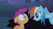 S03E06 Rainbow uśmiecha się do Scoolatoo.png