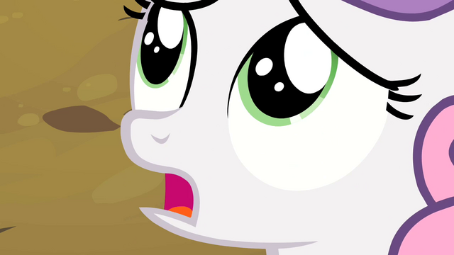 File:Sweetie Belle Shock S2E5.png