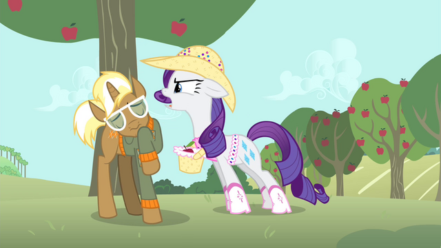 File:Rarity "Why don't you go ask her yourself?" S4E13.png