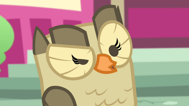 File:Owlowiscious gives an inquisitive hoot S4E23.png